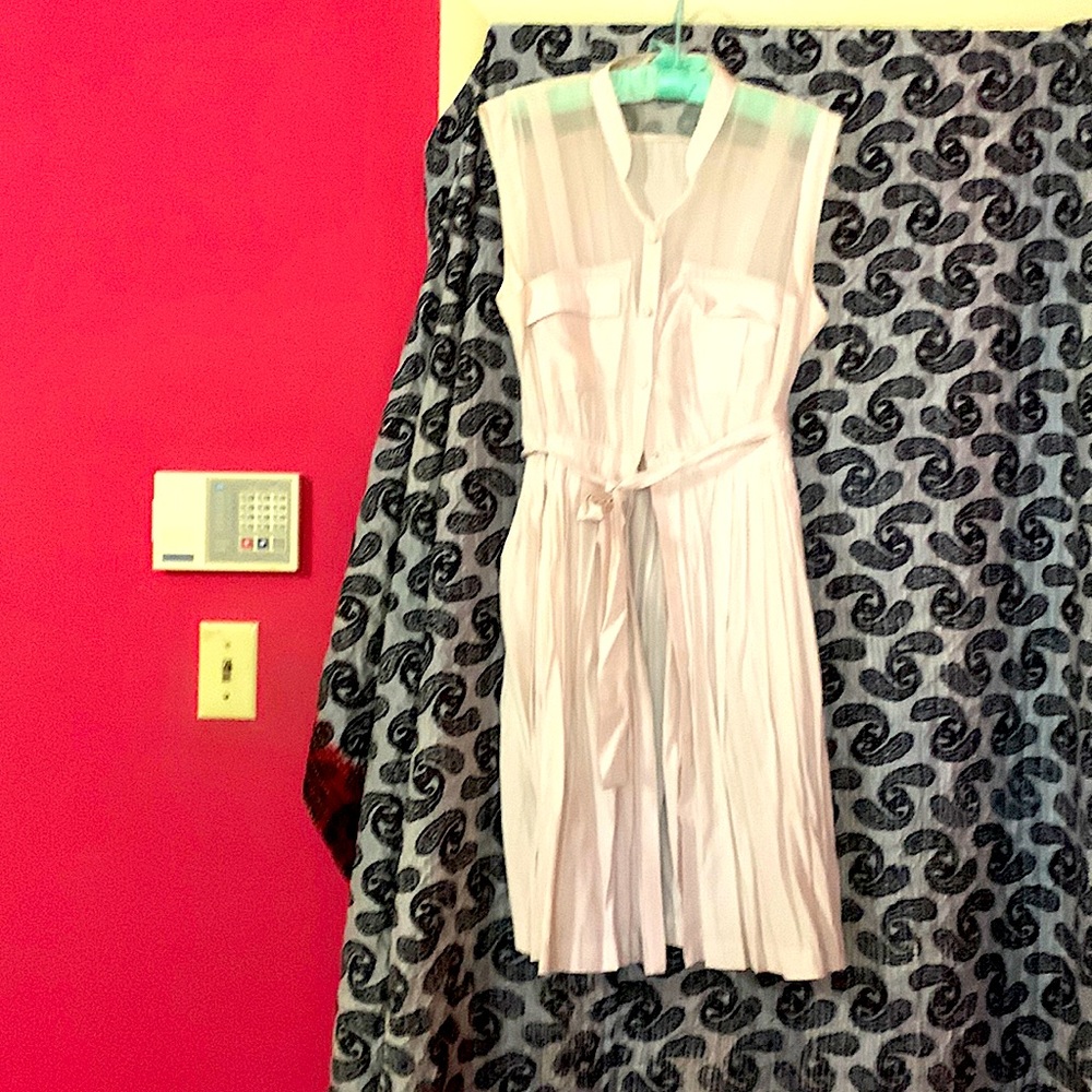 Ecru button downed pleated sleeveless dress